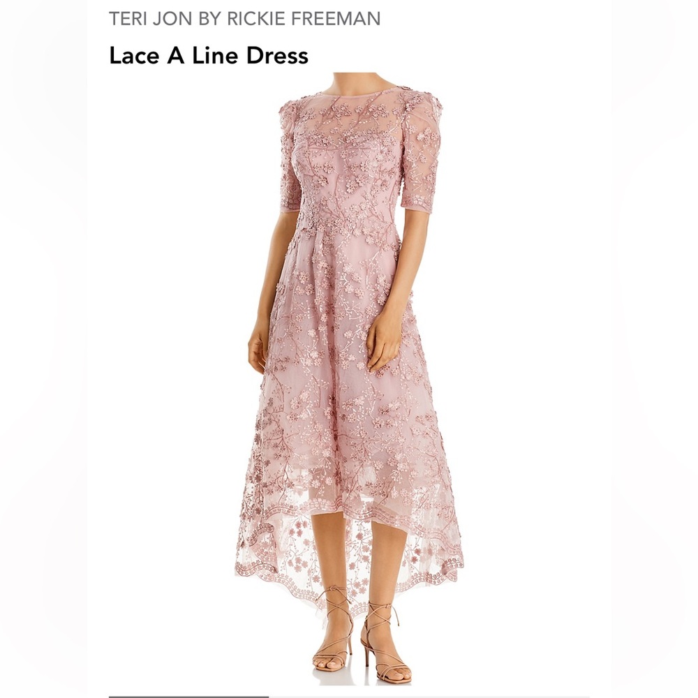 Teri Jon By Rickie Freeman Embroidered Lace Midi Dress